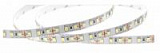 Светодиодная лента 2835/120 (12W/м) холодная ECO