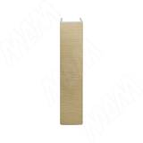 Конечный элемент (высота 100), золото брашированное