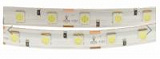 Светодиодная лента 5050/60 (14,4W/м) в силиконе холодная