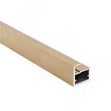 LINEA Профиль рамочный узкий, 20х22х8 мм, золото брашированное (анод), L-3000